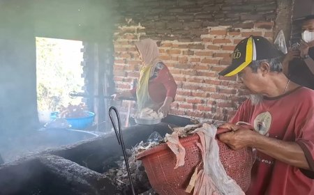 一个法国超市的塑料袋,如何变成二噁英进入印尼儿童的鸡蛋中?