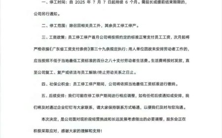 行业巨变，罗马仕停工“渡劫”