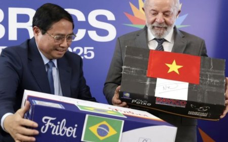 巴西主办金砖峰会：中俄国家领导人缺席里约之行