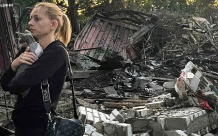 俄乌战争：第1229天关键事件概述