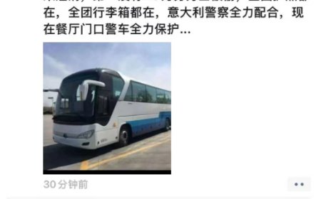 欧洲偷子围猎中国旅游团背后