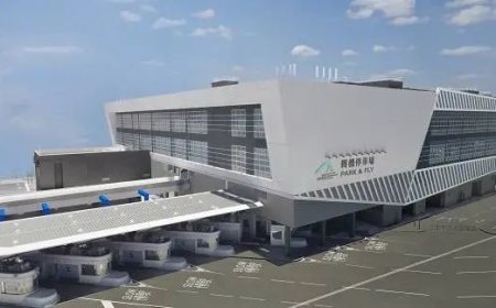 自驾去香港，“粤车南下”11月施行