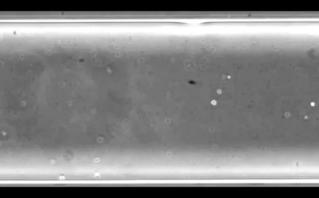 最先进的AI，正在解决最古老的不孕不育问题