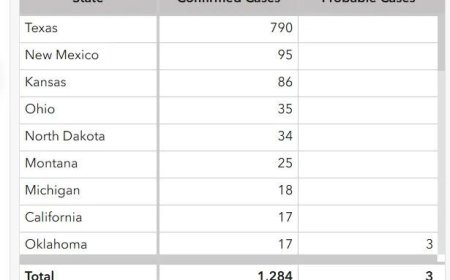美国麻疹疫情卷土重来，病例数量创近33年新高