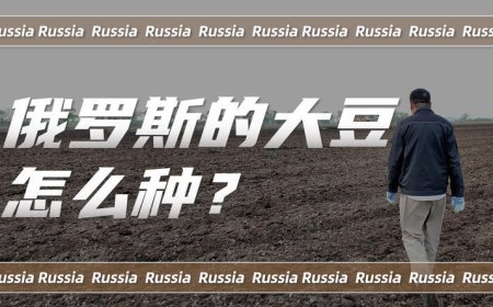 俄罗斯的大豆，到底是怎么种的？
