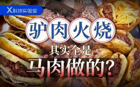 在北京吃了十年驴肉火烧，一口驴肉沫儿都没吃到过？