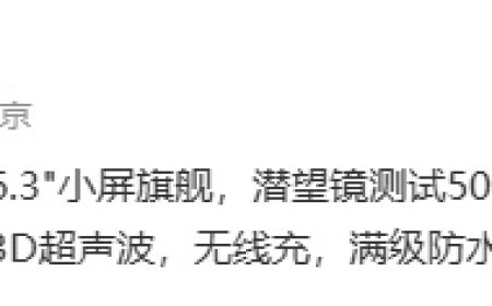 消息称某厂标准版新机配备 6.3 英寸小屏、3D 超声波,预计为 vivo X300