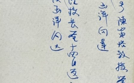 栾伟平|向达1964年拜访陈寅恪之行的新见材料