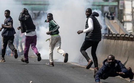 肯尼亚反政府抗议活动造成至少31人死亡、532人被捕