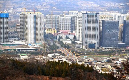 甘肃血铅真相，远比你想象得复杂