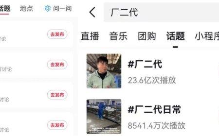 厂二代蜂拥扮网红