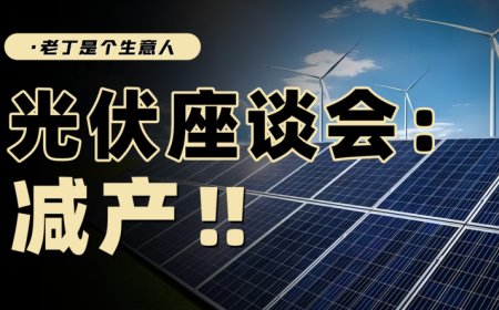 政策与市场的较量，光伏减产能救产业吗？