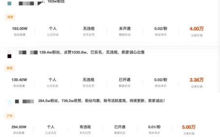 国内DJ造假的从来不只有肋骨鼻和罩杯