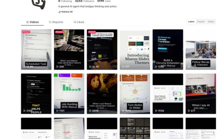 忘掉Manus的华人背景