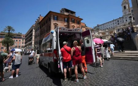 研究发现欧洲热浪10天内造成2300人死亡