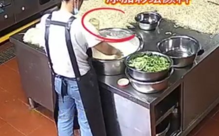 血铅中毒事件，应该追查的不止8个人