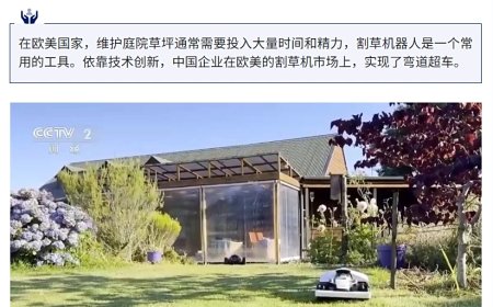 国产割草机走俏海外，出口额同比增长近六成