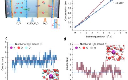 OLED 寿命重要原料、比黄金还贵，我国科学家把制备氘代酸碱价格打下来、成本暴降 80%
