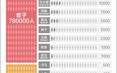 被蚊子叮咬后离死亡有多近？