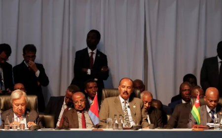 厄立特里亚与联合国人权报告员使命冲突的秘密