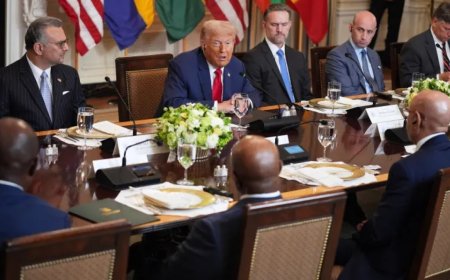 特朗普会见5个非洲国家领导人，目标是其珍贵矿产