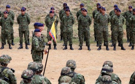 “从未碰过枪”：哥伦比亚武装人员加大童子军招募力度