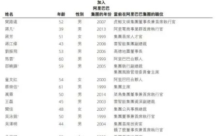 阿里集权与分权的底层逻辑