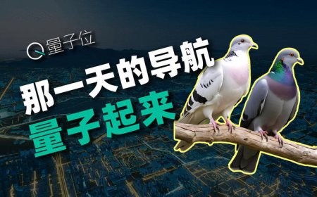 鸽子不迷路，靠的竟是量子力学？