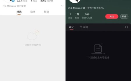 突发，聊聊Manus“删博跑路”