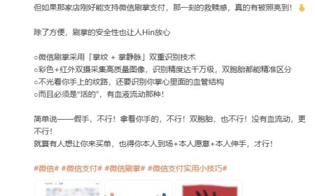 微信：刷掌支付采用“掌纹 + 掌静脉”双重识别技术，假手不行