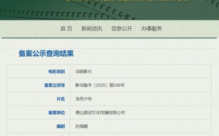 《雄狮少年》导演新作《龙舟少年》备案立项，还有《琅琊榜》《熊出没》动画电影