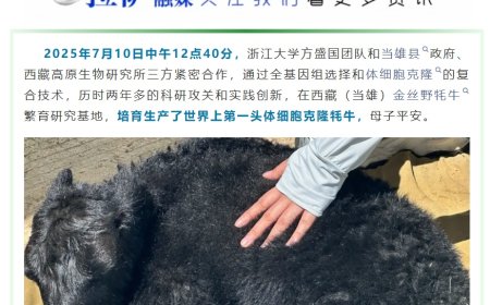 两个世界首例，体细胞克隆牦牛、犏牛在西藏诞生