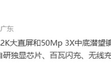 消息称某厂工程机标配 3D 超声波指纹、自研独显芯片、百瓦闪充等，预计为 iQOO 15