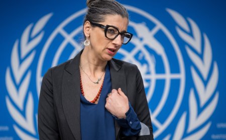 联合国专家阿尔巴内塞驳斥美国因批评以色列而实施的“荒谬”制裁