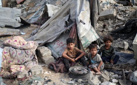 以色列袭击致82人丧生，加沙停火谈判与强制迁移计划同步推进