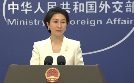 中国军舰在红海用激光瞄准德国飞机？外交部：不实