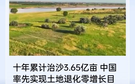 十年累计治沙 3.65 亿亩，中国率先实现土地退化零增长目标