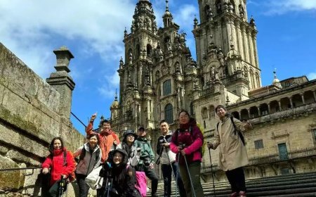 “窝囊旅游”收割了多少中国年轻人？