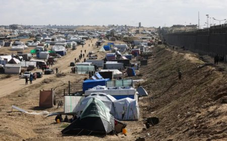 内塔尼亚胡在拉法的“人道主义城市”：谈判障碍与被迫流离失所的门户