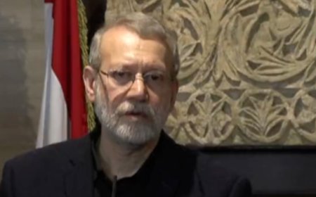 伊朗最高领袖顾问：收到美关于重启伊核谈判的消息