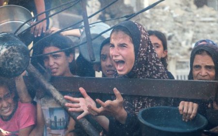 世界为何未能阻止加沙种族灭绝？