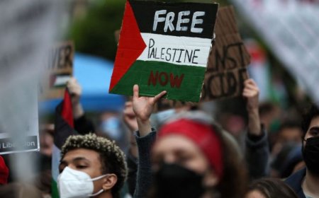 “金丝雀使命”：美国如何利用“仇恨团体”攻击巴勒斯坦倡导者