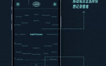 新自由故事：当AI成为技术合伙人