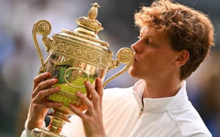 辛纳击败阿尔卡拉斯，赢得2025年温网大满贯冠军