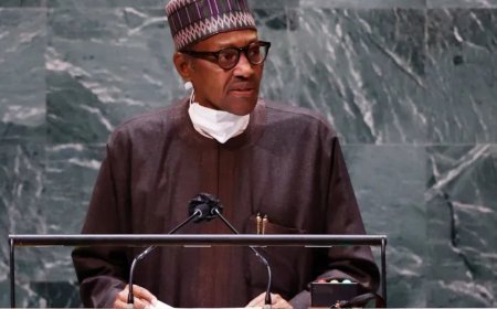 尼日利亚前总统穆罕默杜·布哈里在伦敦去世，享年82岁