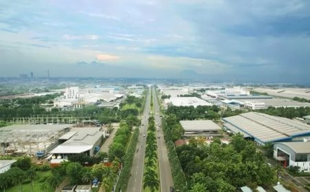 印尼工业化的速度，开关其实在中国手里