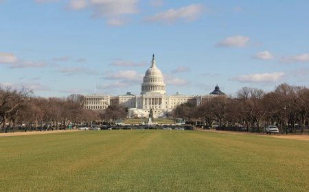 特朗普关税的通胀效应为何低于预期？