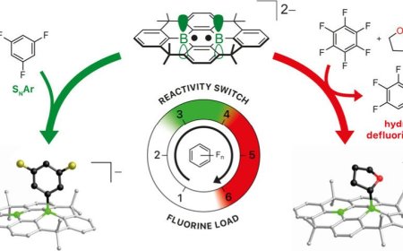 “永久化学物”PFAS 新克星：新型催化剂诞生，室温下断开最坚韧碳-氟化学键