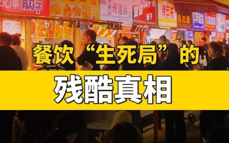 上半年餐饮“生死局”，揭示了什么真相？