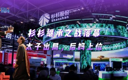 杉杉集团百亿负债背后：谁在操纵这场家族“权力游戏”？